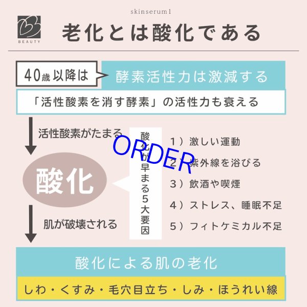 画像5: ビーラブドバイ　スキンセラムFL (5)