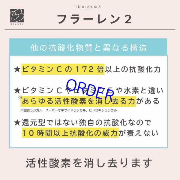 画像6: ビーラブドバイ　スキンセラムFL (6)