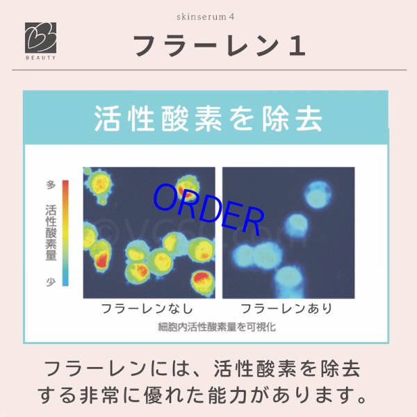 画像2: ビーラブドバイ　スキンセラムFL (2)