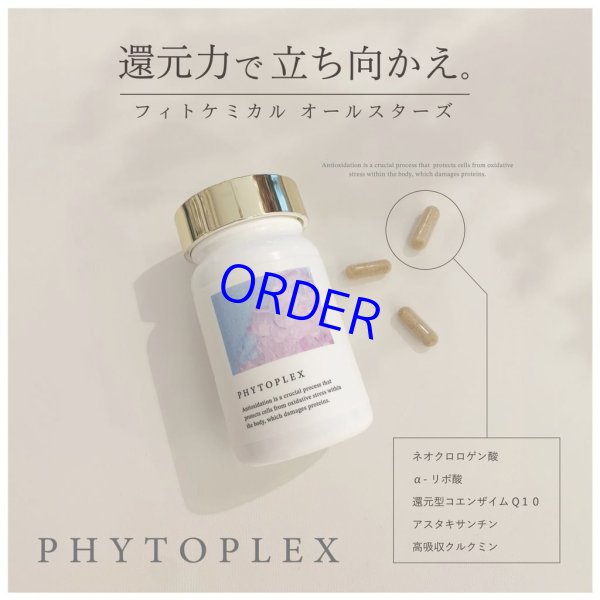 画像1: フィトプレックス【酸化ストレス対応サプリメント】 (1)