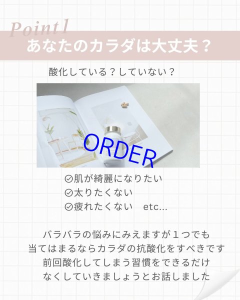 画像2: フィトプレックス【酸化ストレス対応サプリメント】 (2)