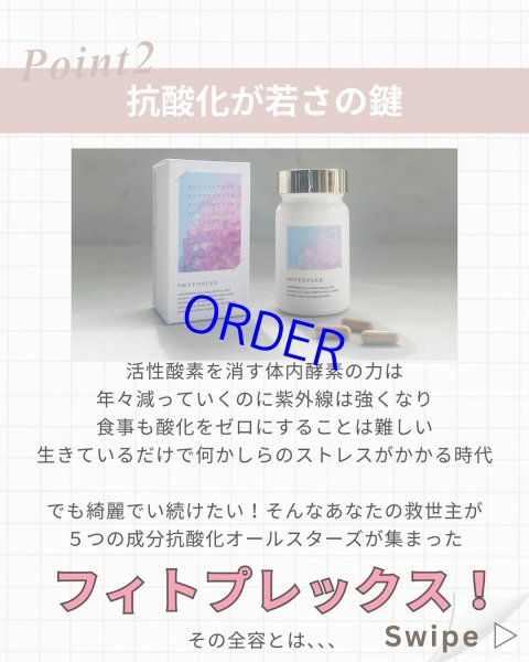 画像3: フィトプレックス【酸化ストレス対応サプリメント】 (3)