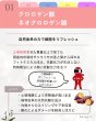 画像6: フィトプレックス【酸化ストレス対応サプリメント】 (6)