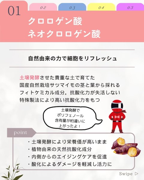 画像6: フィトプレックス【酸化ストレス対応サプリメント】 (6)