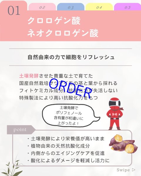 画像6: フィトプレックス【酸化ストレス対応サプリメント】 (6)