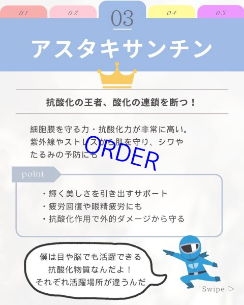 画像8: フィトプレックス【酸化ストレス対応サプリメント】 (8)