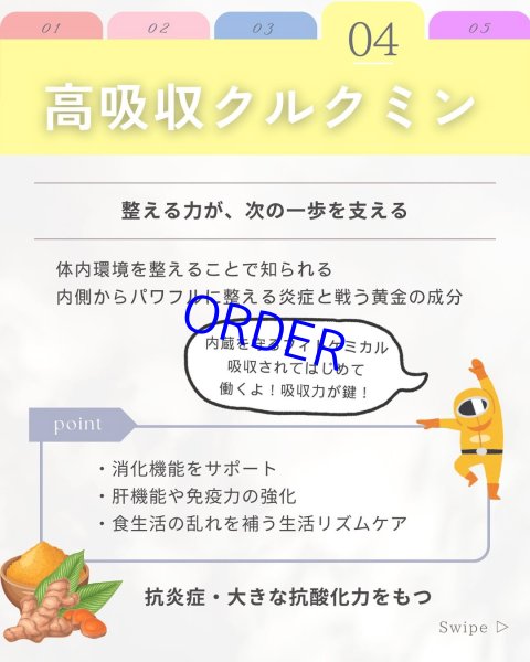 画像9: フィトプレックス【酸化ストレス対応サプリメント】 (9)