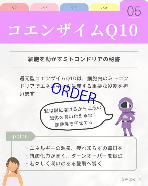 画像10: フィトプレックス【酸化ストレス対応サプリメント】 (10)