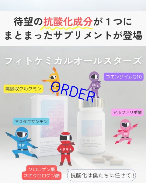 画像5: フィトプレックス【酸化ストレス対応サプリメント】 (5)