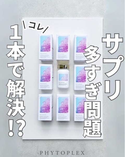 画像4: フィトプレックス【酸化ストレス対応サプリメント】 (4)