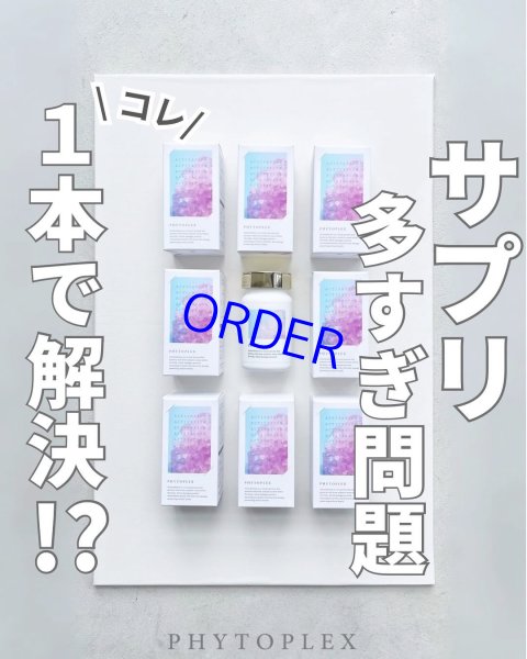 画像4: フィトプレックス【酸化ストレス対応サプリメント】 (4)